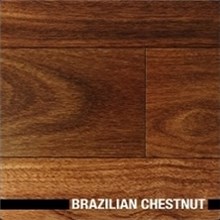Ribadao Brazilian Species 5" Prefinished Brazilian Chestnut Wood Flooring