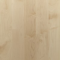 3 1/4" Maple Prefinished Solid Wood Flooring at Discount Prices