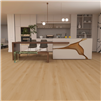 Antique-Beige-Vinyl-Flooring-Room